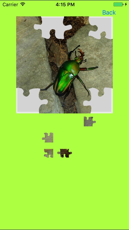 Rhinoceros Beetle Jigsaw Puzzle