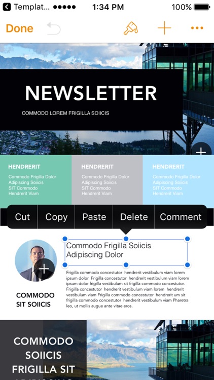 Templates for Pages Edition screenshot-3