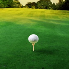 Activities of Mini Golf Games