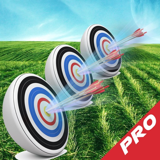 A Spectacular Archery PRO : Testing Skill icon