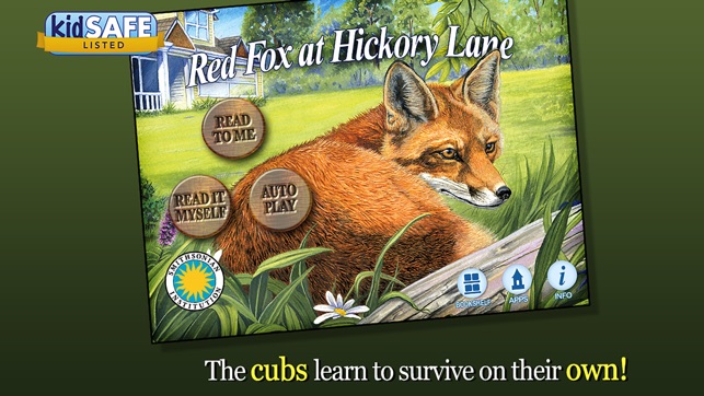 Red Fox at Hickory Lane - Smithsonian's Backyard(圖1)-速報App