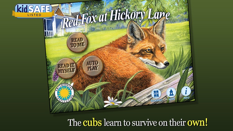 Red Fox at Hickory Lane - Smithsonian's Backyard