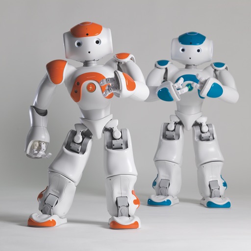 NAO Controller