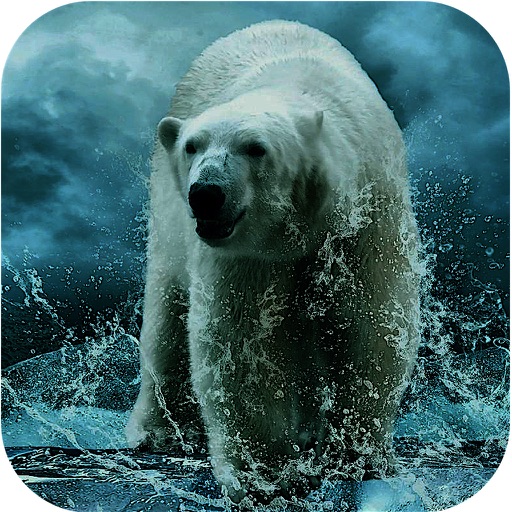 Wild Angry Polar Bear Sniper Hunting Simulator Icon
