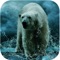 Wild Angry Polar Bear Sniper Hunting Simulator