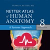 Human Anatomy Atlas +