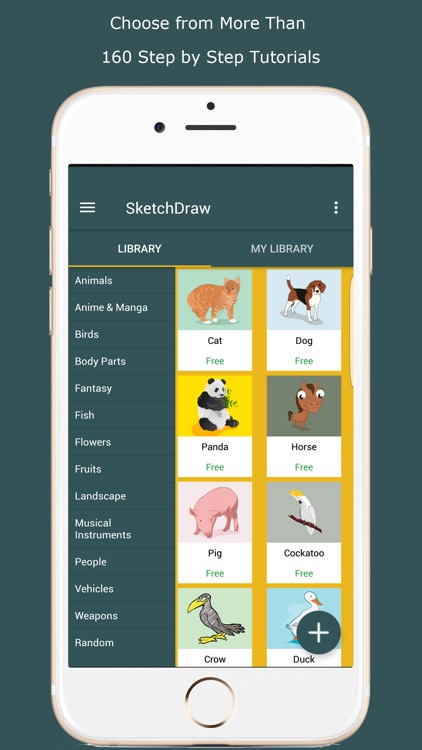 SketchDraw- How to Draw Anything