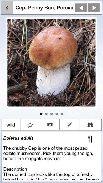 Mushrooms & other Fungi UK Screenshot