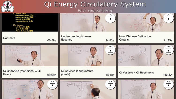 Qi Energy Circulatory System Video Lesson