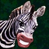 Magic Boox: Jungle Safari