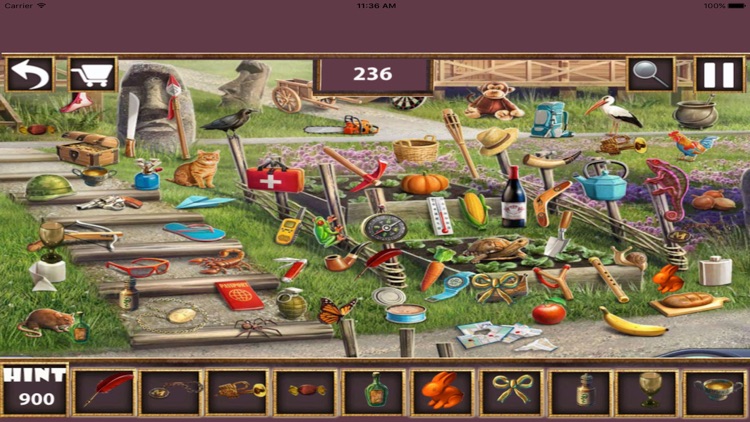 Free Hidden Objects : Flowers Streets