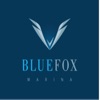 Marina Blue Fox