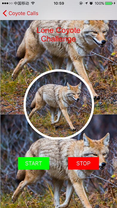 How to cancel & delete 100+ Coyote Hunting Calls - Predator Sounds from iphone & ipad 4