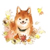 Watercolor Shibainu Dog Sticker
