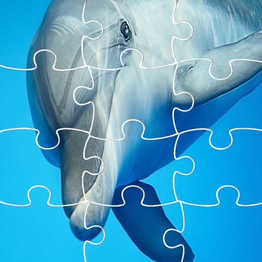 Jigsaw Puzzles Games Page Dolphins Education icon