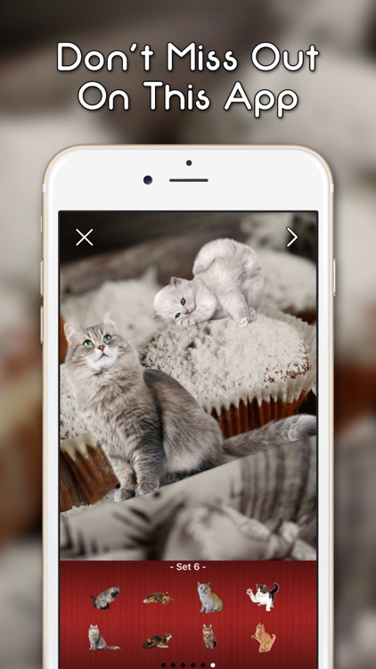 KittyGram - Cutest Cats Photo Decorator screenshot-3