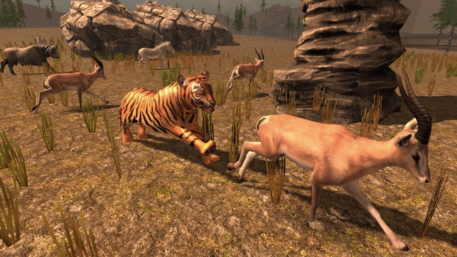 Tiger Simulator 2017