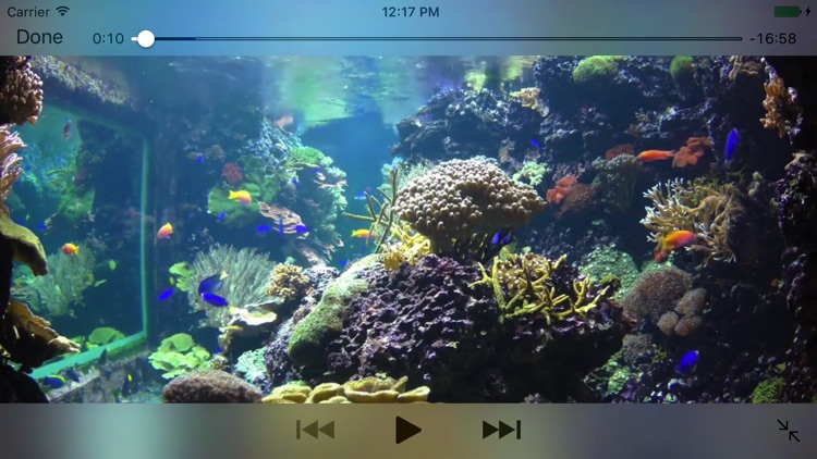 Aquarium Videos 4K