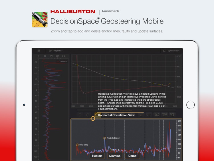 DecisionSpace Geosteering Mobile