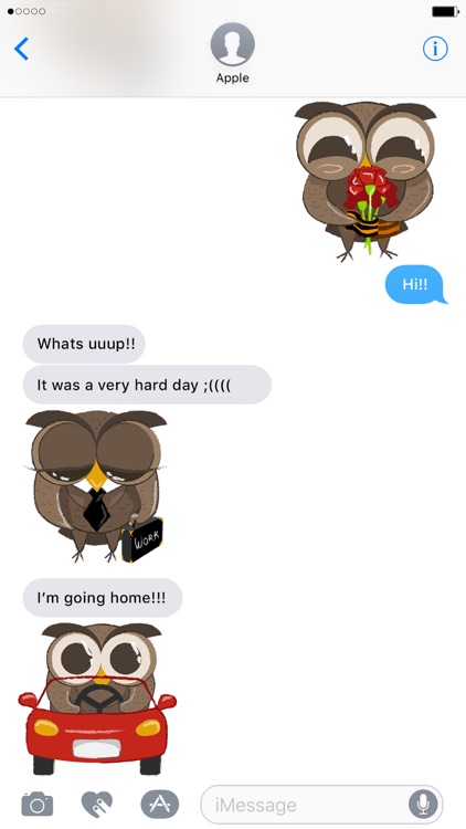 Cute Owl - Funny Owls