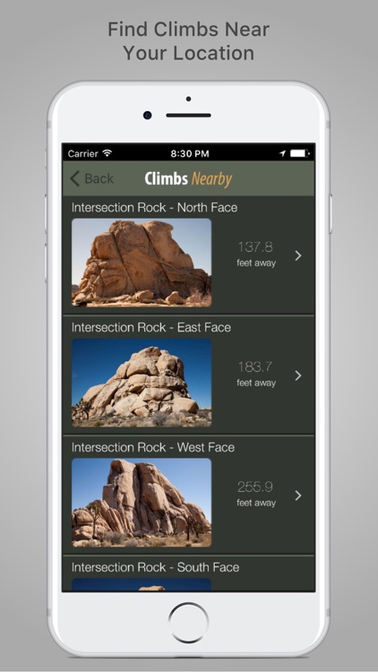 Joshua Tree Rock Climbing