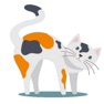 Get Memory Training: Cats for iOS, iPhone, iPad Aso Report