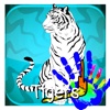 Mania Tigers Colorings Game For Kids