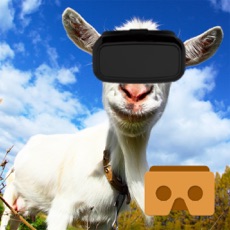 Activities of Crazy Goat VR