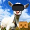 Icon Crazy Goat VR
