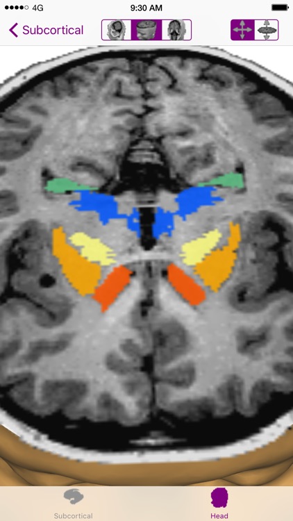 Brain Tutor 3D screenshot-3