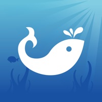 District Center Shopping