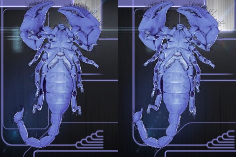 VR scorpions screenshot 4