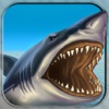 The Jaws Real Shark Attacks