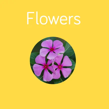 Flowers Flashcard for babies and preschool Читы