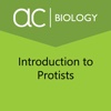 Introduction to Protists