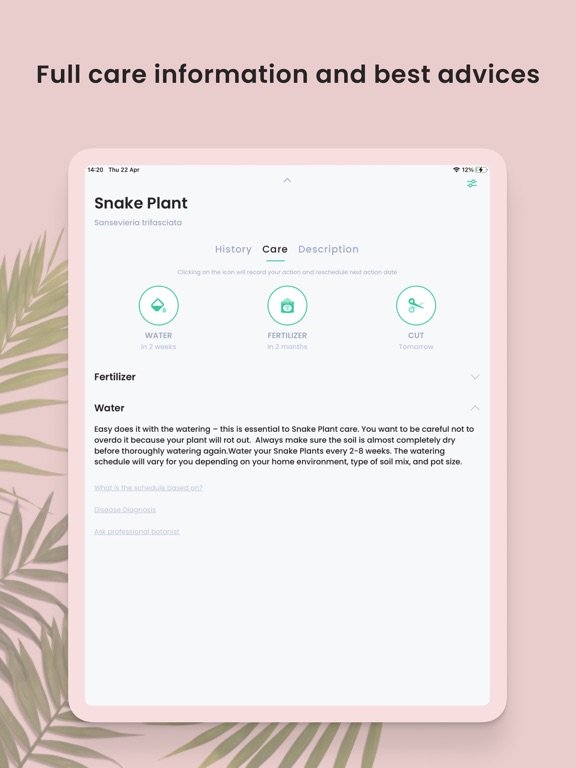 PlantIn: Plant Identifier PlantIn: Plant Identifier