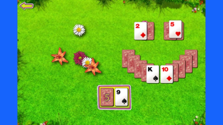 Summer Solitaire – The Beautiful Card Game screenshot-3