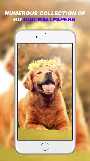 Dog Wallpapers - Home Screen Themes & Backgrounds(圖1)-速報App