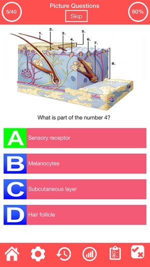 Integumentary System Quiz(圖3)-速報App