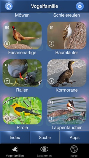 Vogel Id Schweiz, Vögel bestimmen im Garten + Wald(圖2)-速報App