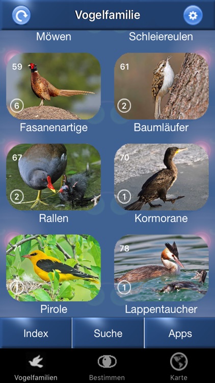Vogel Id Schweiz, Vögel bestimmen im Garten + Wald
