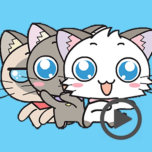 Lovely Cat Animated