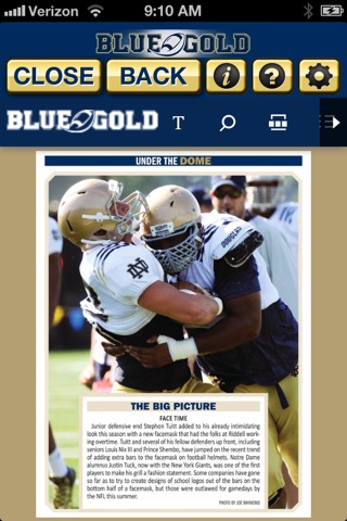Blue and Gold Illustrated screenshot 3