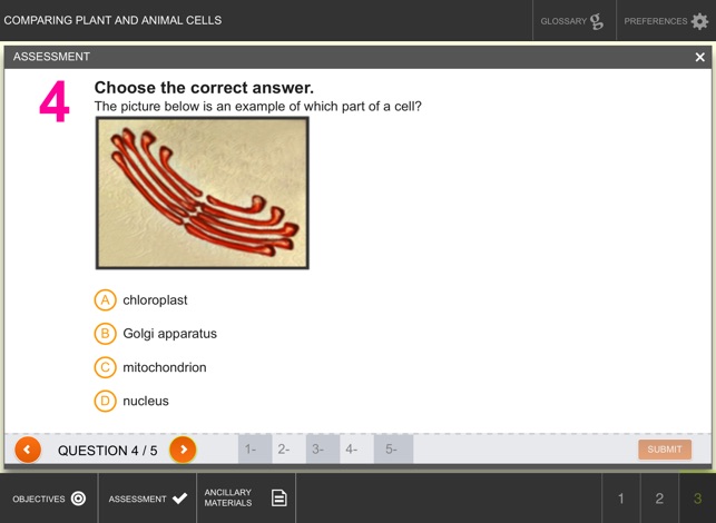 Comparing Plant & Animal Cells(圖5)-速報App