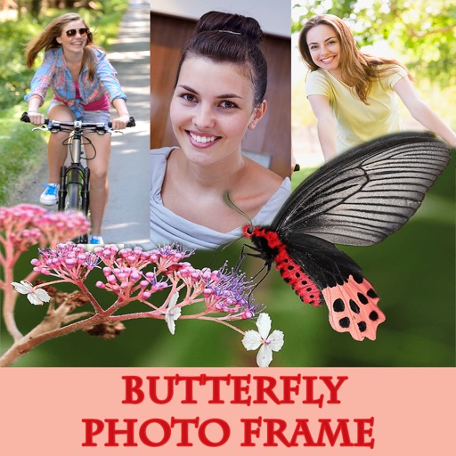 Cute Butterfly  Photo Frame And Pic Collage Download