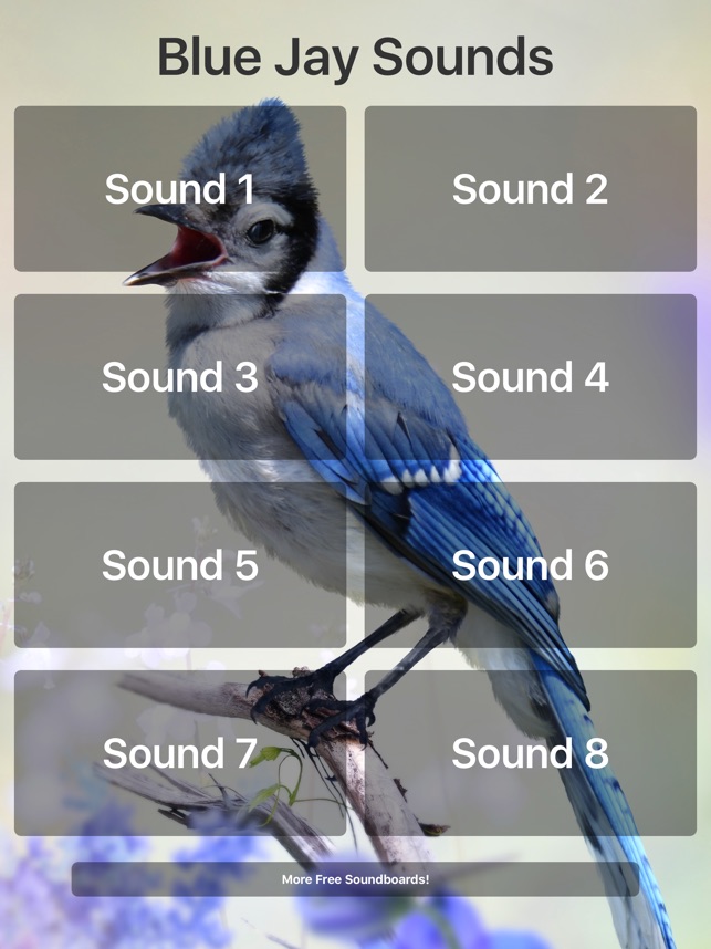 Blue Jay Sounds On The App Store