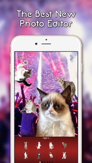 KittyGram - Cutest Cats Photo Decorator