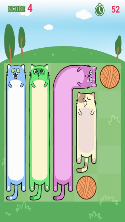 Cute Long Long Cat