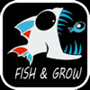 3D Fish Growing-晓彤 蔡