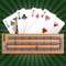 Classic cribbage where 2 players race to 121 points with single player or online multiplayer